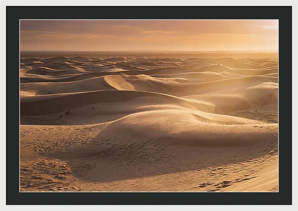 Curonian Spit Dune Vista