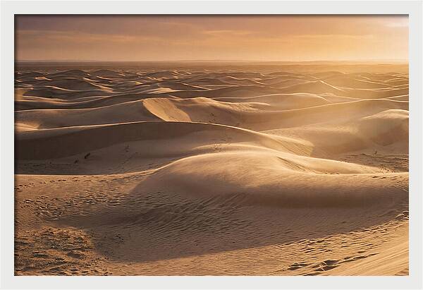 Curonian Spit Dune Vista