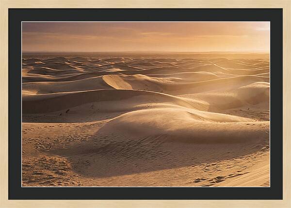Curonian Spit Dune Vista
