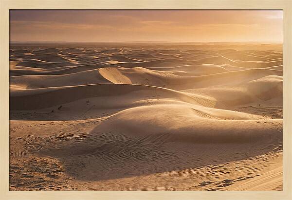 Curonian Spit Dune Vista