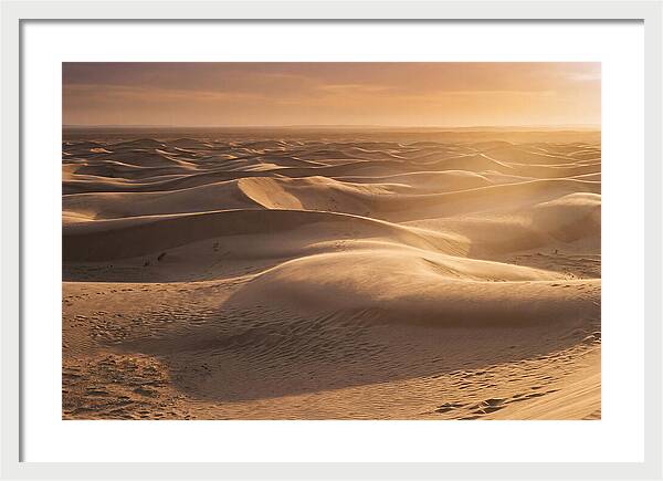 Curonian Spit Dune Vista