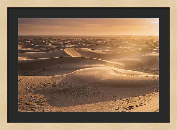 Curonian Spit Dune Vista