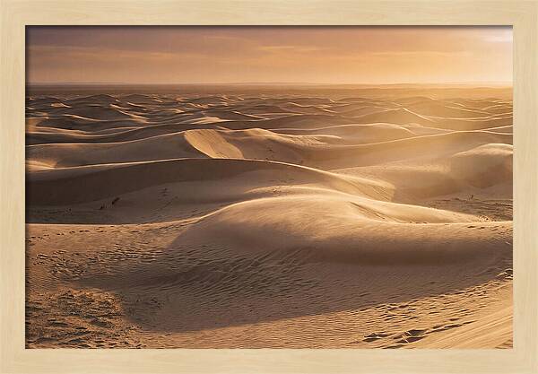 Curonian Spit Dune Vista