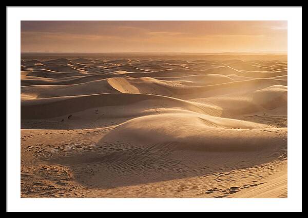 Curonian Spit Dune Vista