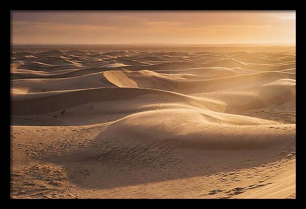 Curonian Spit Dune Vista