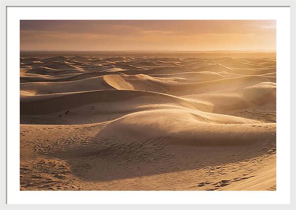 Curonian Spit Dune Vista