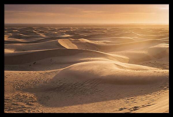 Curonian Spit Dune Vista