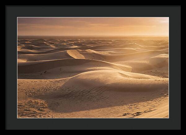 Curonian Spit Dune Vista