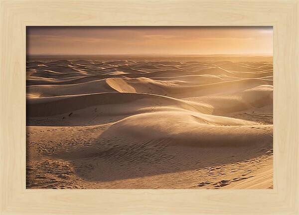 Curonian Spit Dune Vista