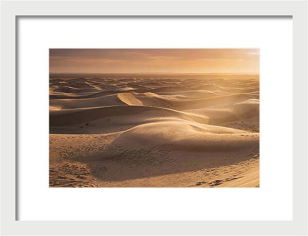 Curonian Spit Dune Vista