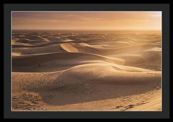 Curonian Spit Dune Vista