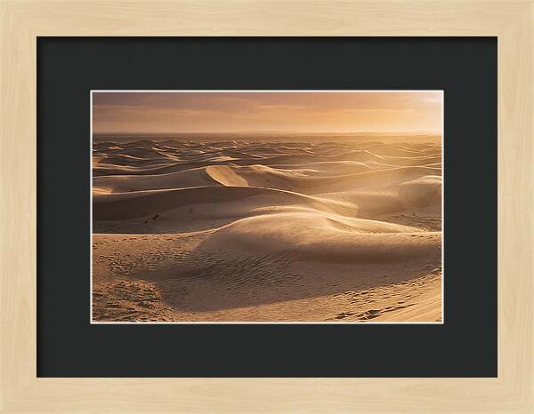 Curonian Spit Dune Vista