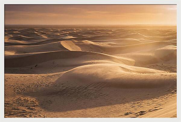 Curonian Spit Dune Vista