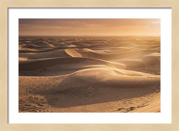 Curonian Spit Dune Vista