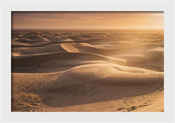 Curonian Spit Dune Vista