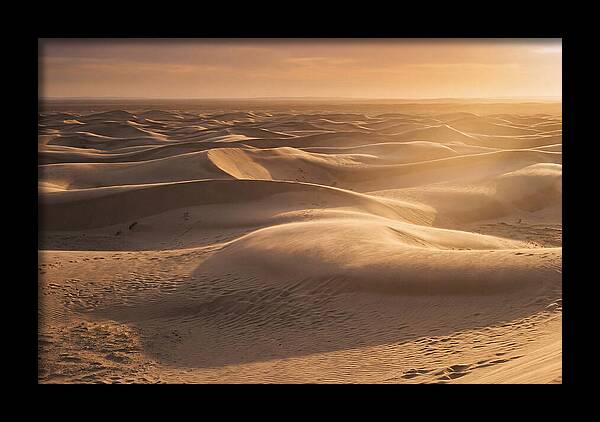 Curonian Spit Dune Vista