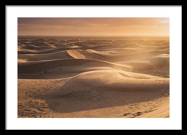 Curonian Spit Dune Vista