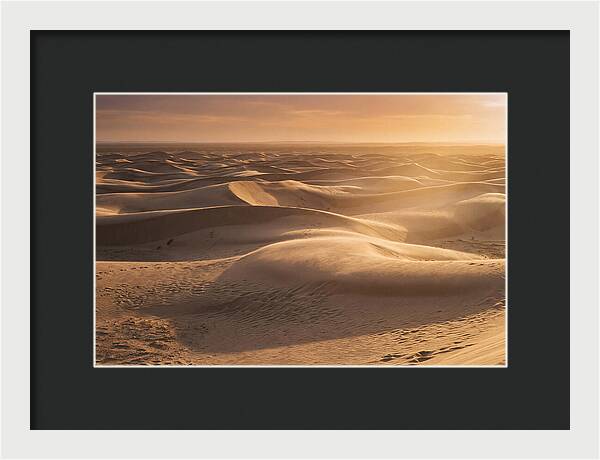 Curonian Spit Dune Vista