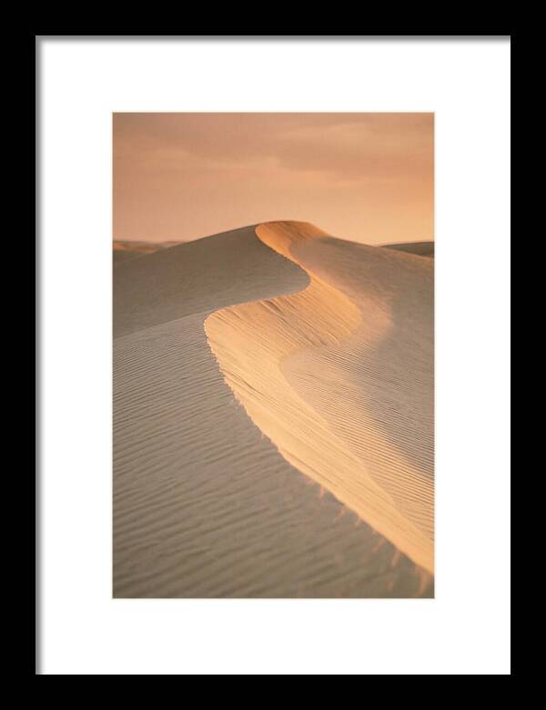 Curonian Spit Dune Warmth