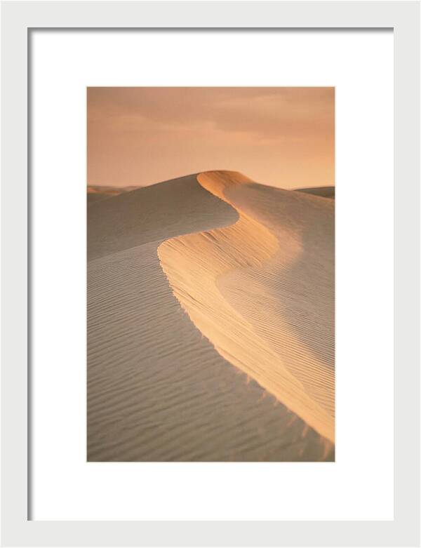 Curonian Spit Dune Warmth