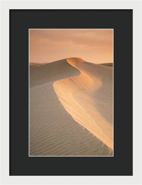Curonian Spit Dune Warmth