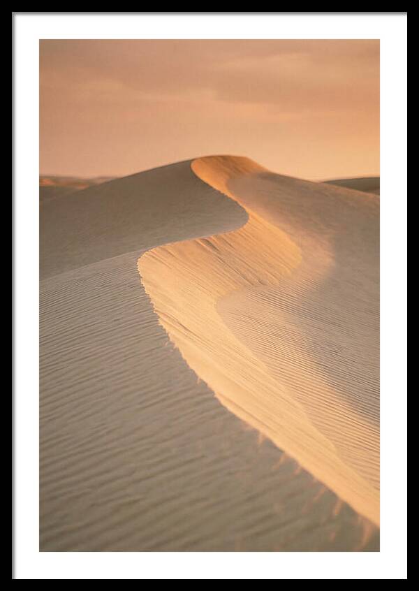 Curonian Spit Dune Warmth