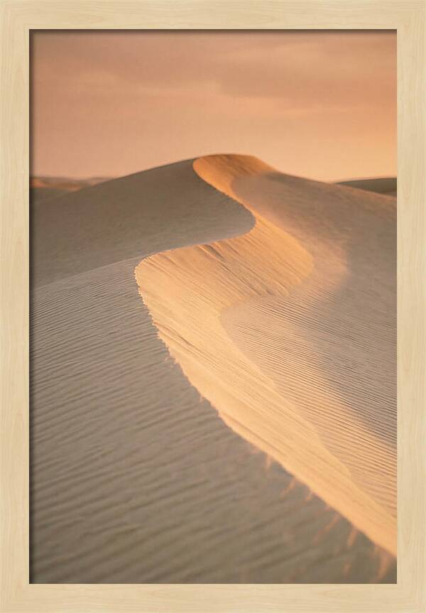 Curonian Spit Dune Warmth