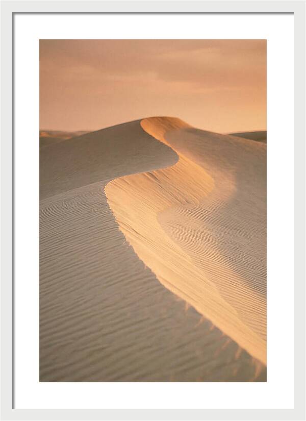Curonian Spit Dune Warmth