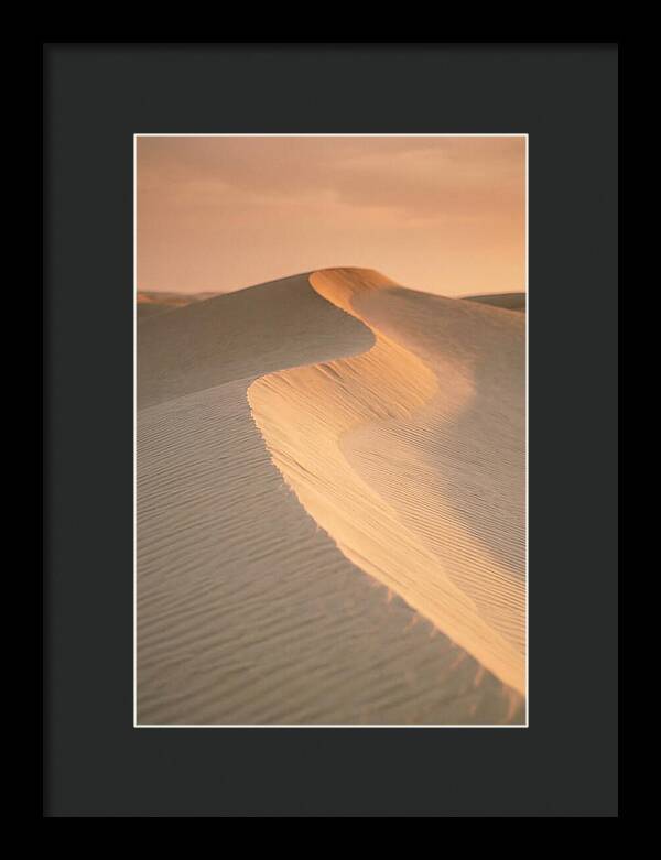 Curonian Spit Dune Warmth