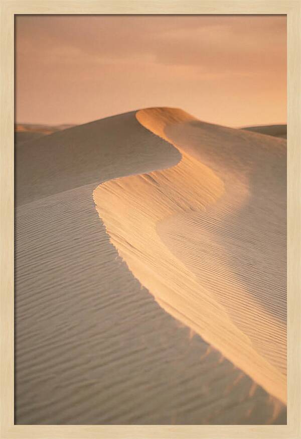 Curonian Spit Dune Warmth