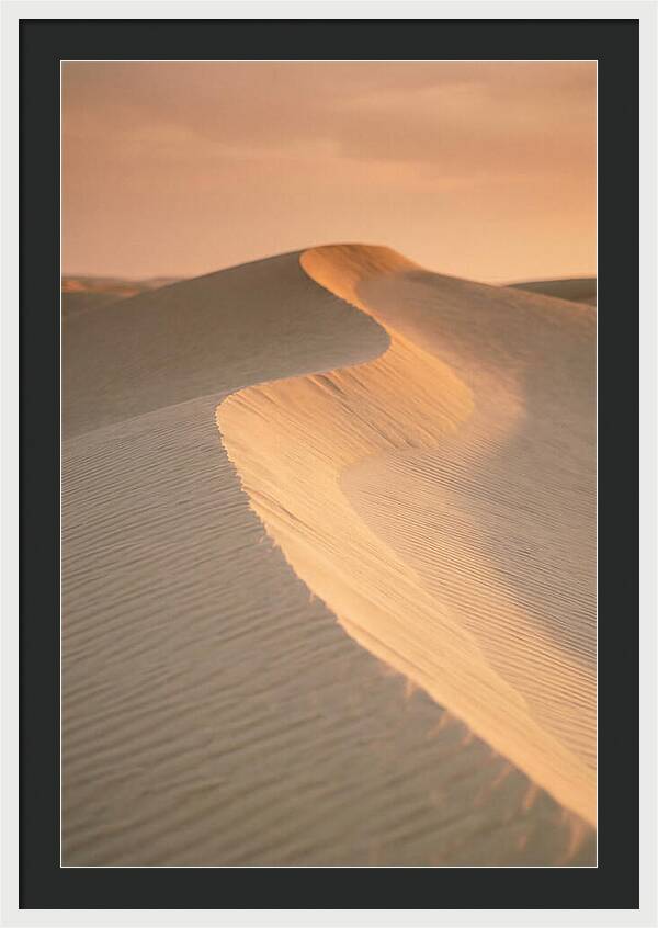 Curonian Spit Dune Warmth