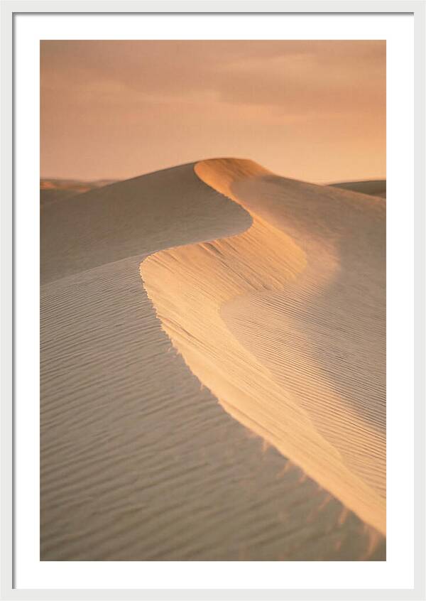Curonian Spit Dune Warmth