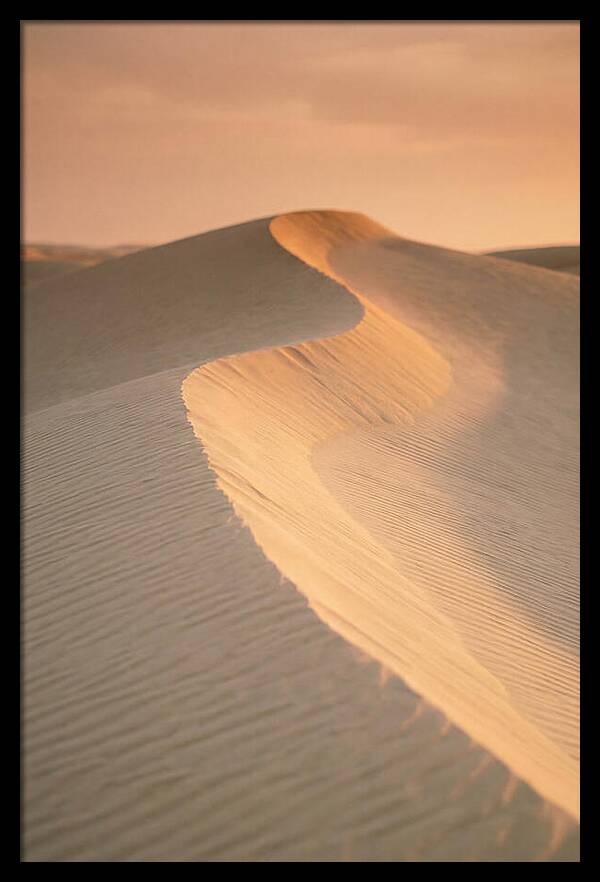 Curonian Spit Dune Warmth