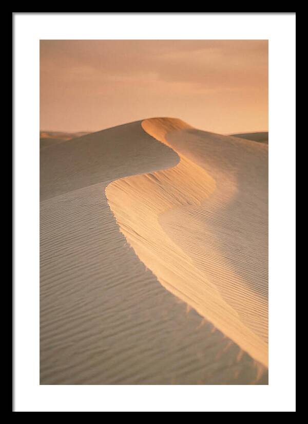 Curonian Spit Dune Warmth