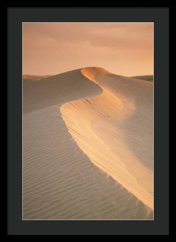 Curonian Spit Dune Warmth