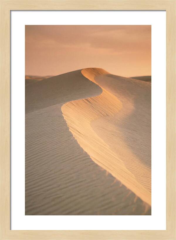 Curonian Spit Dune Warmth