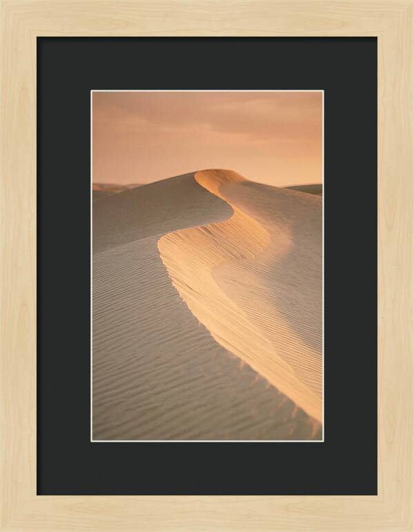 Curonian Spit Dune Warmth
