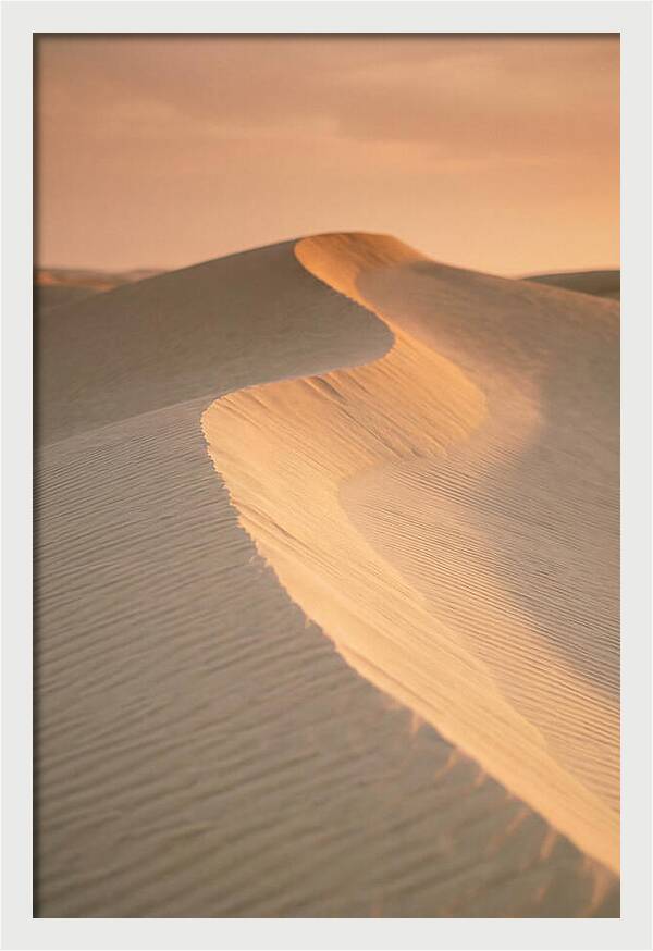 Curonian Spit Dune Warmth