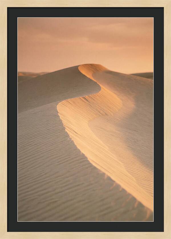 Curonian Spit Dune Warmth