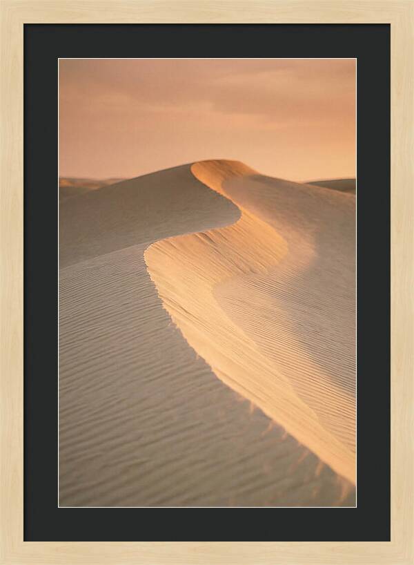 Curonian Spit Dune Warmth