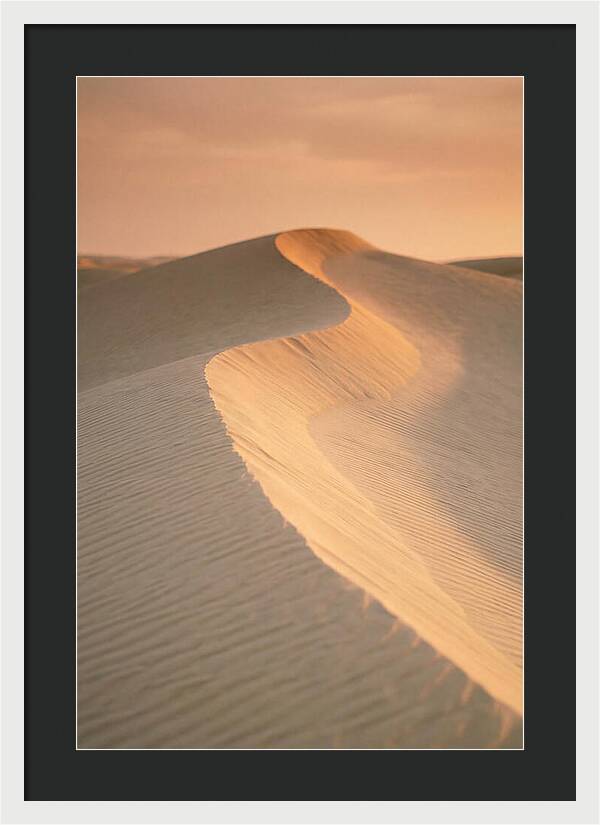 Curonian Spit Dune Warmth