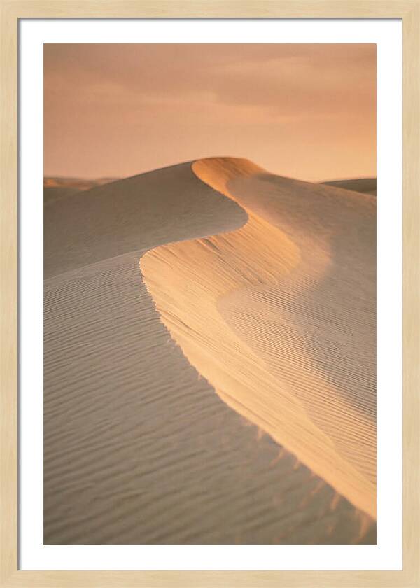 Curonian Spit Dune Warmth