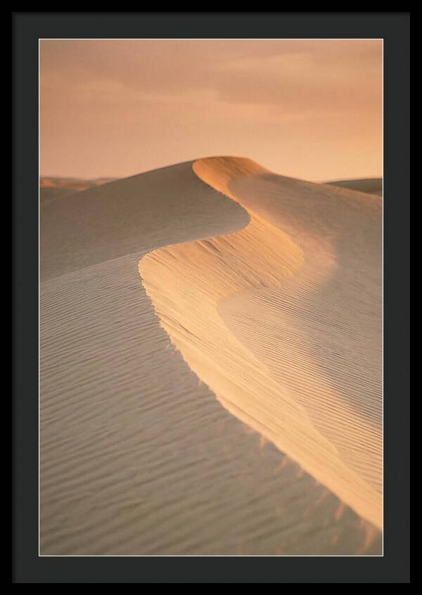 Curonian Spit Dune Warmth