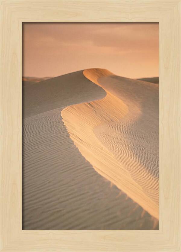 Curonian Spit Dune Warmth