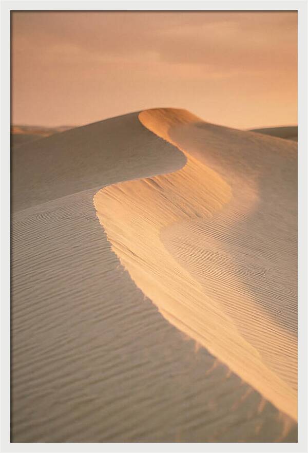 Curonian Spit Dune Warmth