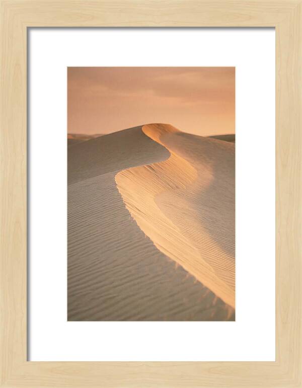 Curonian Spit Dune Warmth