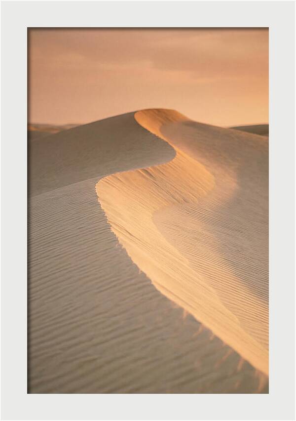Curonian Spit Dune Warmth