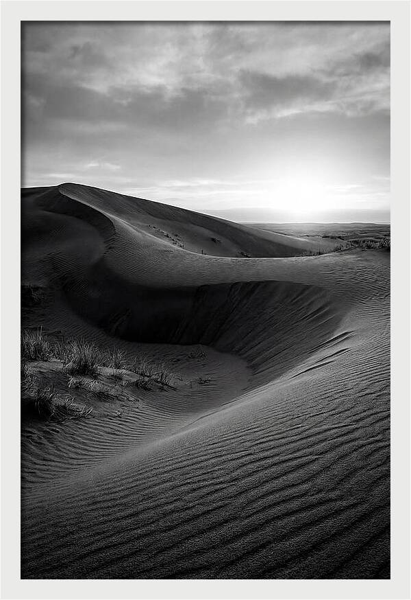 Curonian Spit Dunes At Dusk