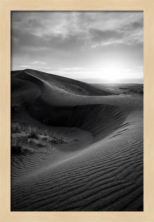 Curonian Spit Dunes At Dusk