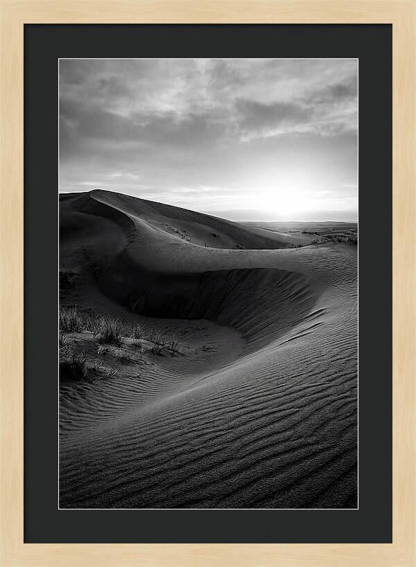Curonian Spit Dunes At Dusk
